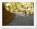 Hilly Lane * 1600 x 1200 * (388KB)